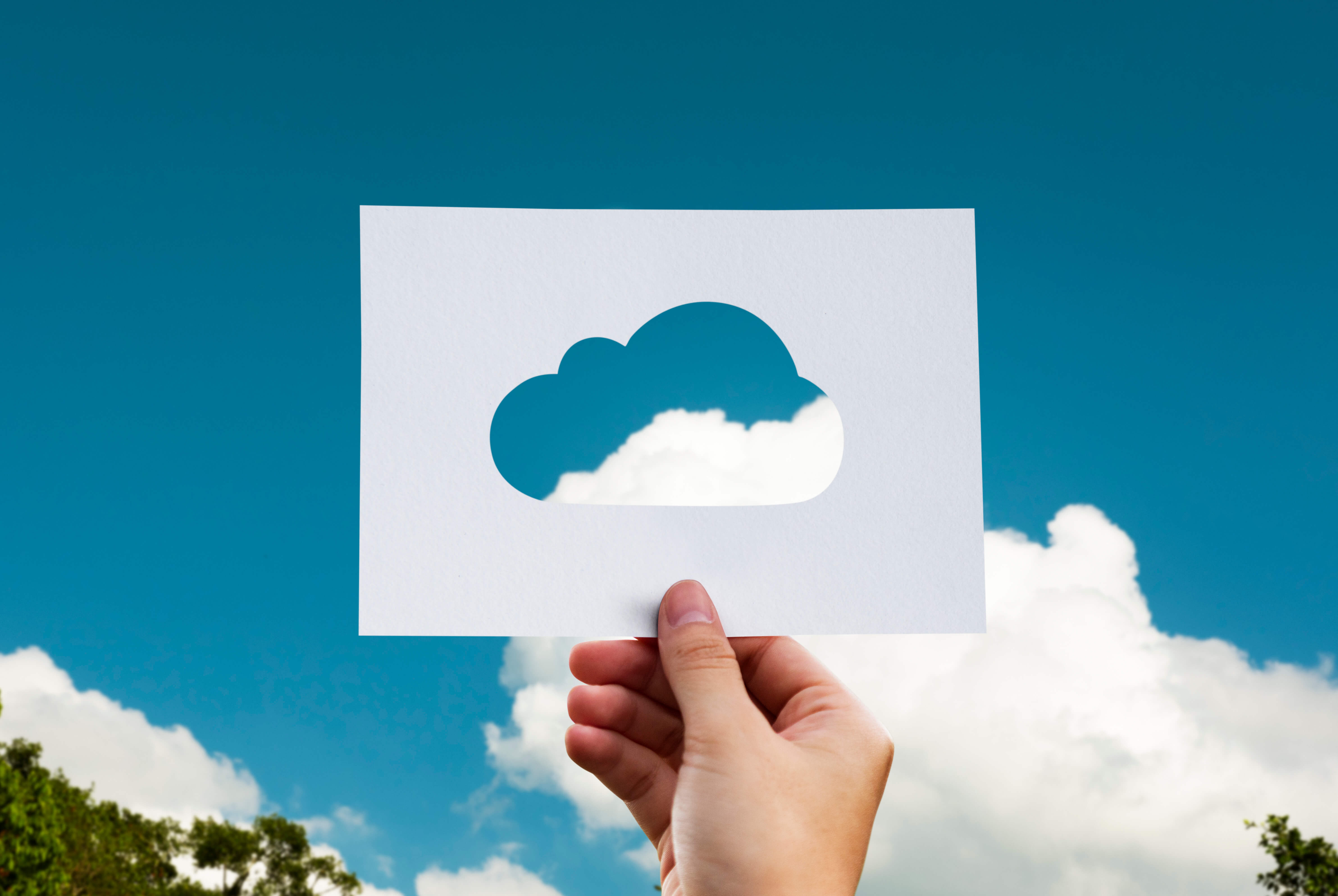 Multi-tenancy vs. single-tenancy cloud hosting